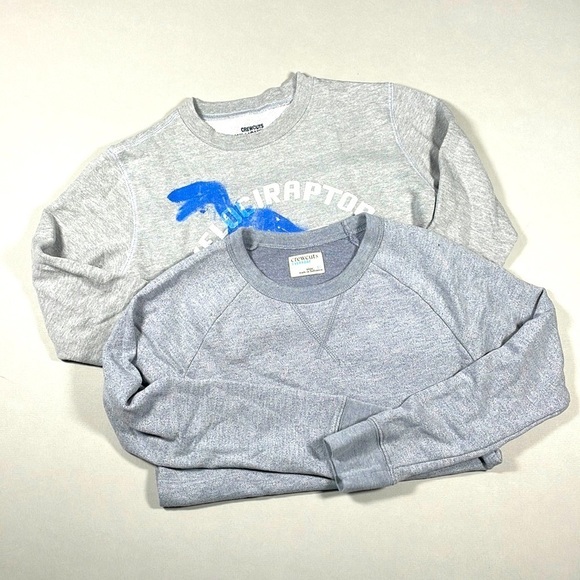 Bundle of 2 Crewcuts Size 10 crewneck sweatshirts - Picture 1 of 5
